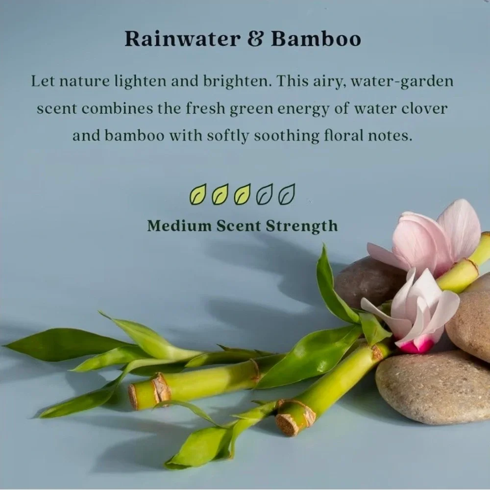 2 Pack Enviroscent Rainwater Bamboo Scent Stix‎ Refills Non-Toxic Air Freshener